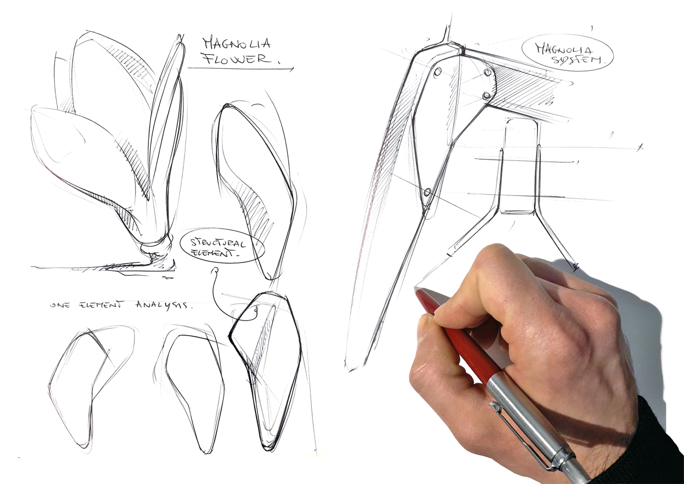 Magnolia Table - Concept sketches1 - Davide Mezzasalma - Furniture design - Berlin